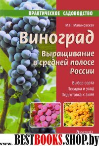 Виноград.Выращивание в средней полосе России.Выбор сорта.Посадка и уход.Подготов