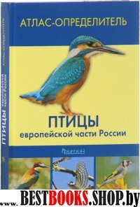 Птицы европейской части России