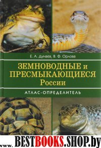 Земноводные и пресмыкающиеся России