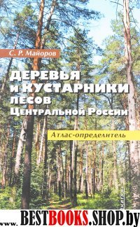 Деревья и кустарники лесов Центральной России