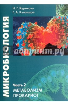 Микробиология. Часть 2. Прокариотическая клетка