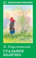 ШкКл(Искатель) Стальное колечко (с цветными рисунками)