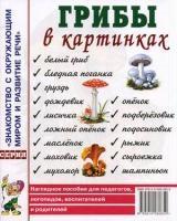 Грибы в картинках. Наглядное пособие для педагогов, логопедов А4