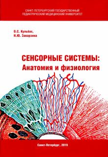 Сенсорные Системы: Анатомия и физиология