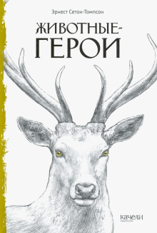 Небоглазка