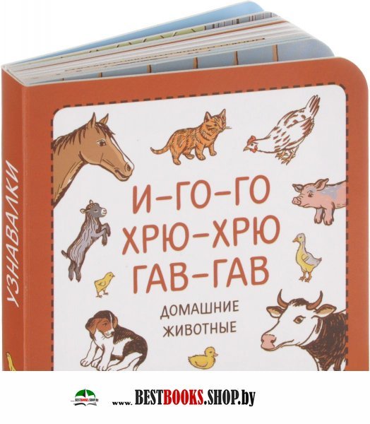 Гав по английски. Бобок+Гав+Гав. Гав Гав пати Новосибирск. Конфеты Гав Гав Тоффи.