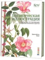 Ботаническая иллюстрация: руководство по рисованию