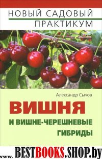 Вишня и вишне-черешневые гибриды