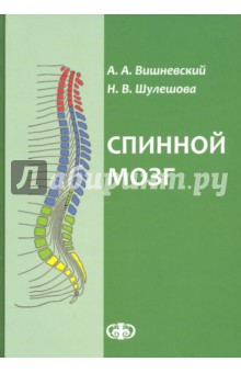 Спинной мозг: клиническ.и патофизиол.сопоставления