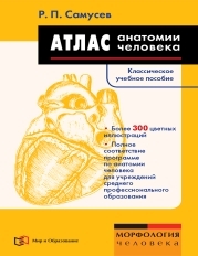 Атлас анатомии человека. Учебное пособие для студентов учреждений 7-е изд.