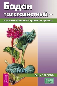 Бадан толстолистный в лечении болезней внутренних органов