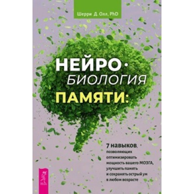 Нейробиология памяти: 7 навыков, позволяющих оптимизировать мощность