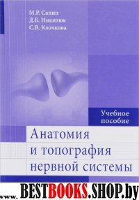 Анатомия и топография нервной системы