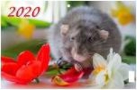 КалКварт3Спир(2020) Символ года. Вид 1