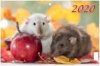 КалКварт3Спир(2020) Символ года. Вид 3