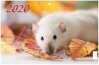 КалКварт3Спир(2020) Символ года. Вид 4