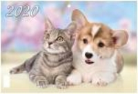 КалКварт3Спир(2020) Милый котенок