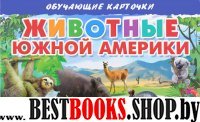 Животные Южной Америки