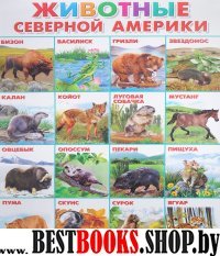 Животные Северной Америки