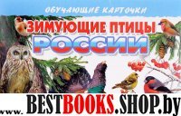 Зимующие птицы России