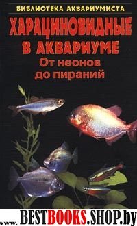 Харациновидные в аквариуме. От неонов до пираний