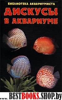 Дискусы в аквариуме