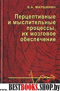 Перцептивные и мыслительные процессы, их мозговое