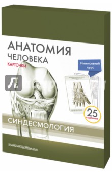 Анатомия человека.Синдесмология.КАРТОЧКИ (25шт)