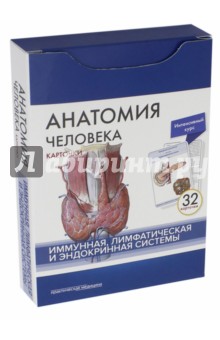 Анатомия человека.Имунная,лимф.сис.КАРТОЧКИ (32шт)