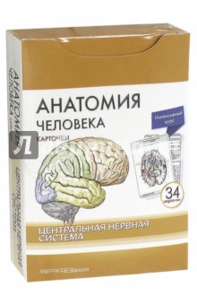Анатомия человека.Центр.нервн.сист.КАРТОЧКИ (34шт)