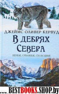 В дебрях Севера