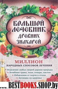 Большой лечебник древних знахарей. Миллион народных способов лечения