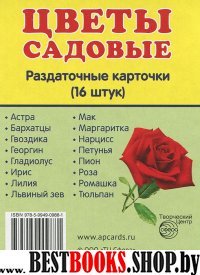 Раздат. карточки "Цветы садовые" (63х87мм)