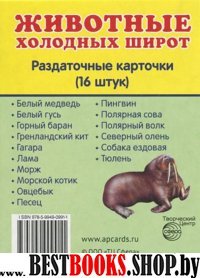 Раздат. карточки "Животные холодных шир" (63х87мм)