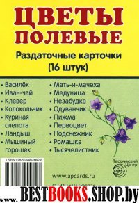 Раздаточные карточки "Цветы полевые" (63х87мм)