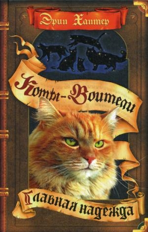 КотВоит Знамение звезд. Главная надежда
