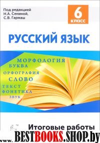 Русский язык 6кл Итоговые работы