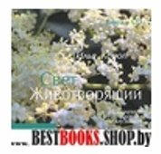 Свет Животворящий.Книга +CD.Исцеление словом и музыкой