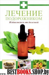 Лечение подорожником. Избавляемся от болезней