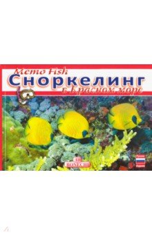 Memo  Fish  Сноркелинг  в  Красном  море