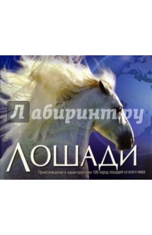 Лошади