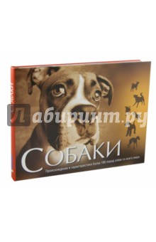 Собаки