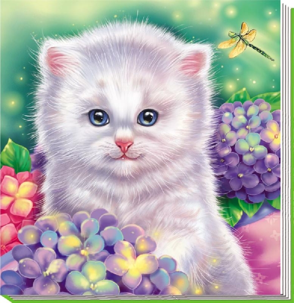 Котенок - Милые зверята