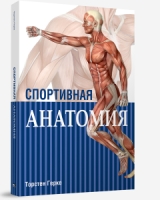 ФФуп Спортивная анатомия