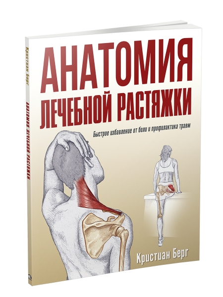 Анатомия лечебной растяжки: быстрое избавление от боли и профилактика травм