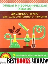 Общая и неорг.химия. Поурочный теоретический курс