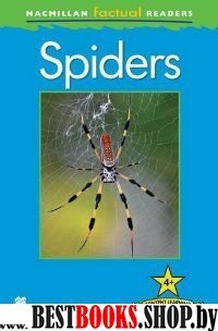 Mac Fact Read: Spiders