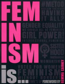 Feminism Is...