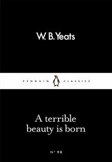 Terrible Beauty Is Born, a