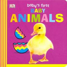 Baby Animals (board book)